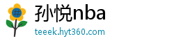 孙悦nba